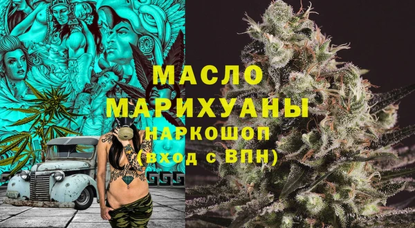 крисы Инта