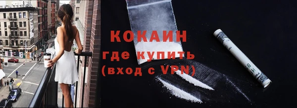 крисы Инта