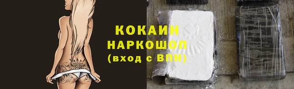 крисы Инта