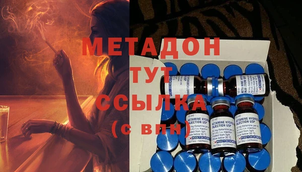крисы Инта