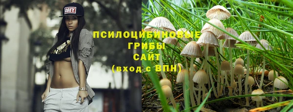 крисы Инта