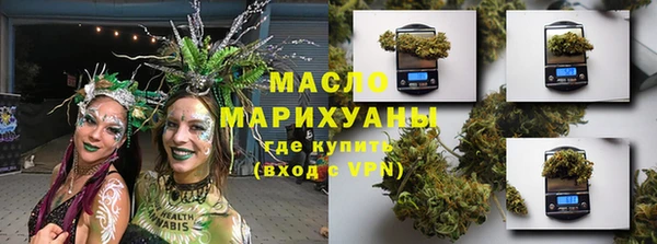крисы Инта