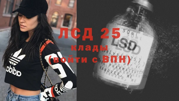 крисы Инта