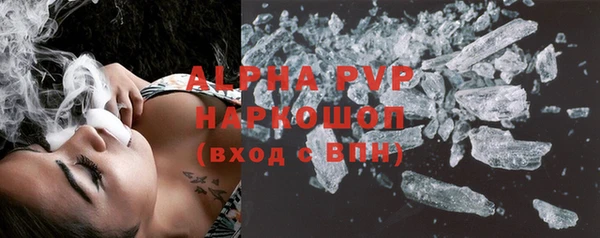 крисы Инта