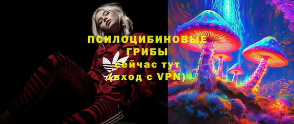 соль курить ск Иннополис