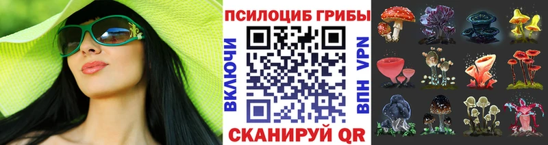 Псилоцибиновые грибы Cubensis Черняховск