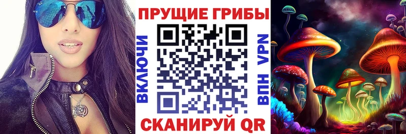 Псилоцибиновые грибы Psilocybe  где можно купить наркотик  площадка как зайти  Черняховск 