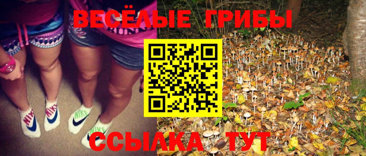 Галлюциногенные грибы MAGIC MUSHROOMS  купить наркоту  Черняховск  Вход с VPN 