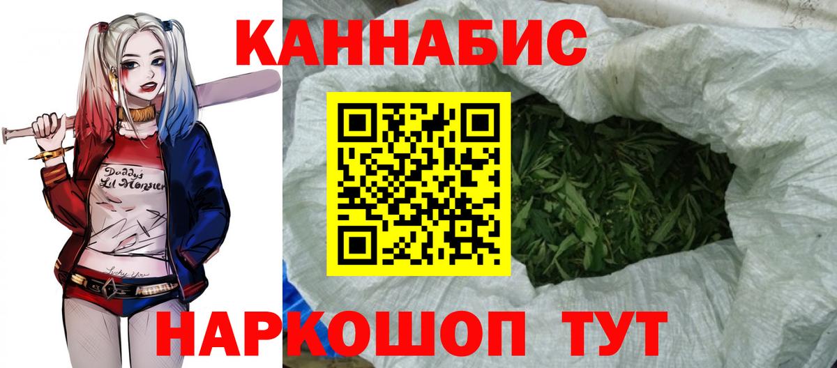 Марихуана сатива Черняховск